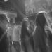pzshowcase19.jpg