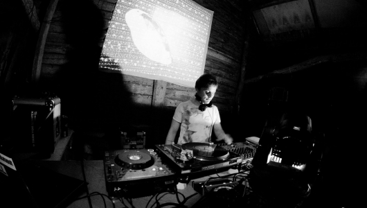 sopkines-calli-2012