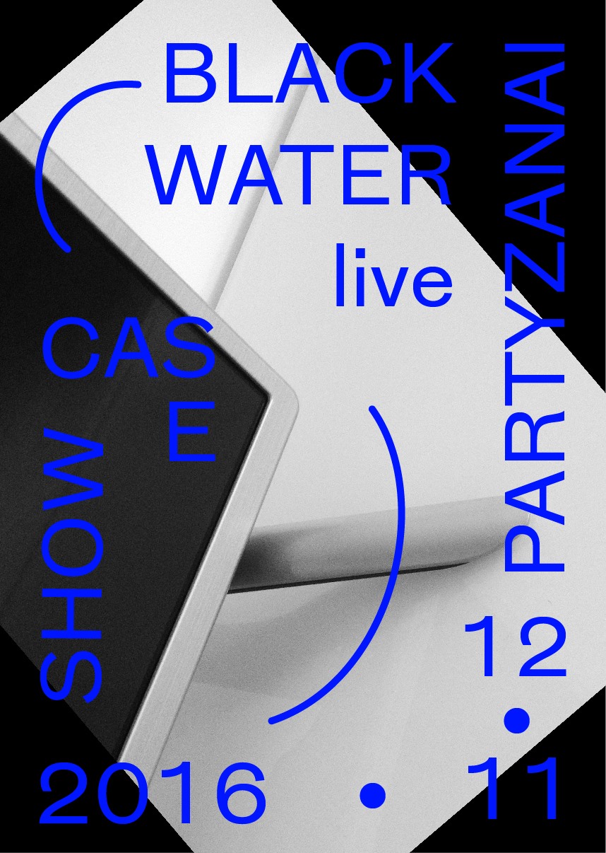 Partyzanai Showcase in Lizdas Cover image